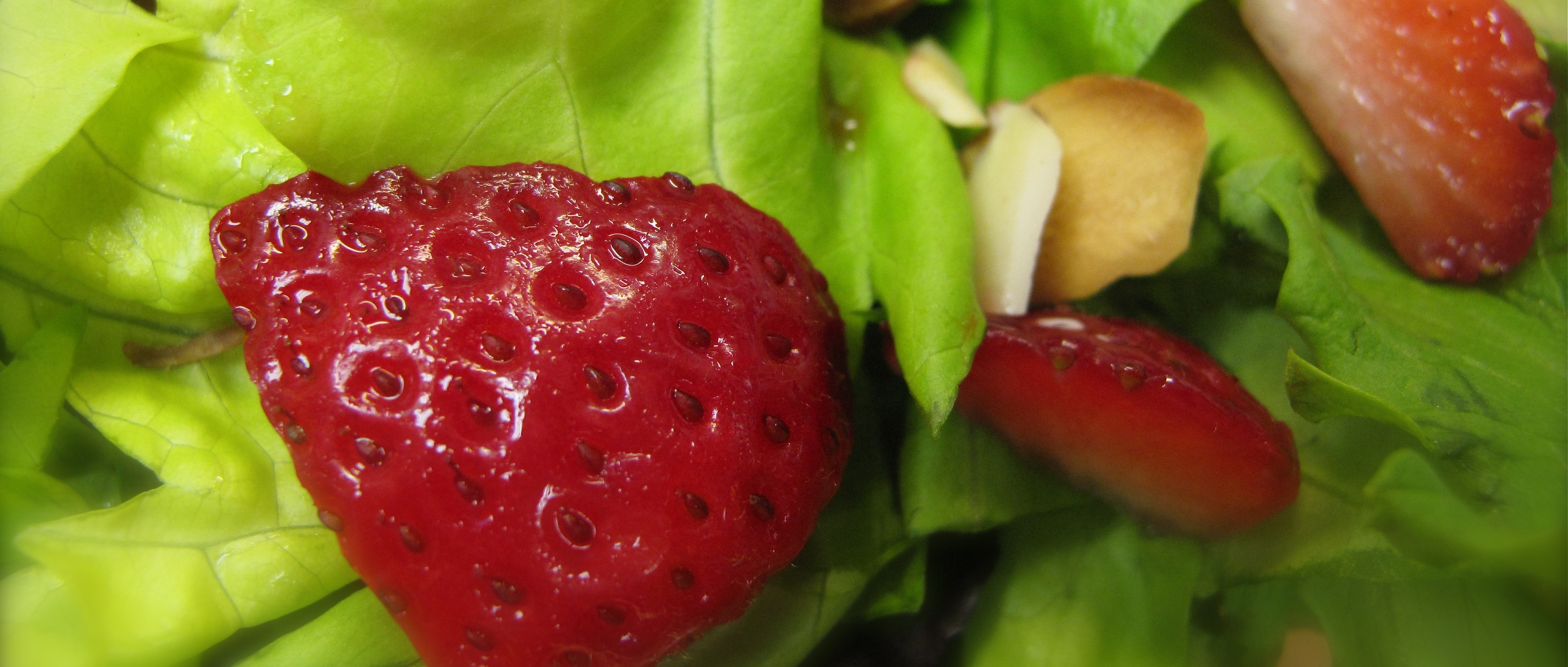 Bibb Lettuce with Strawberries & Chevre